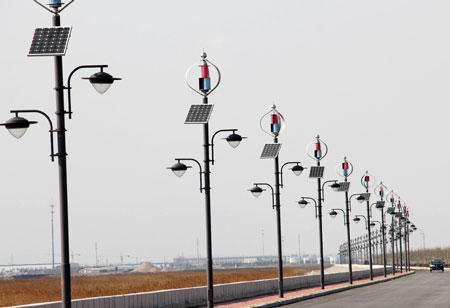 CE Wind Solar Hybrid Street Light System With Vertical Axis Maglev Wind Turbine